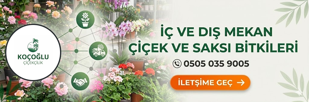 Reklam 1