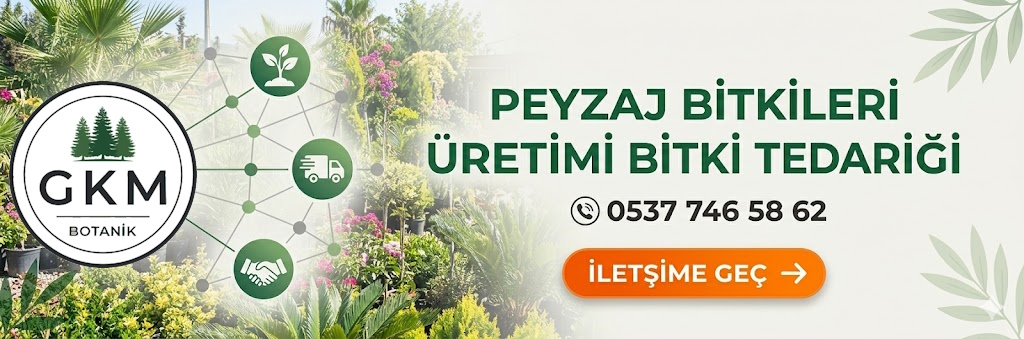 Reklam 2